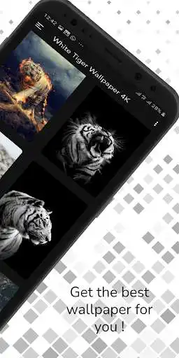 Play White Tiger Wallpaper 4K as an online game White Tiger Wallpaper 4K with UptoPlay