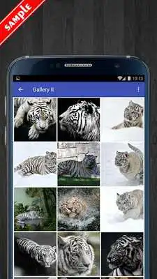 Play White Tiger Wallpaper