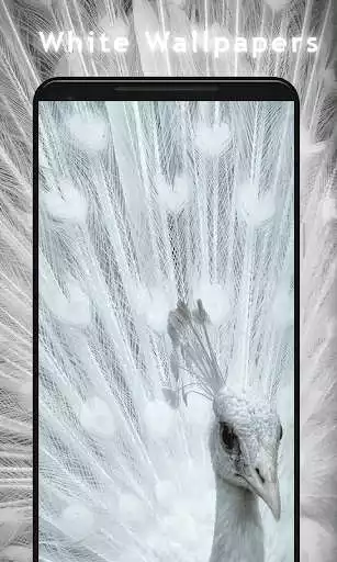 Play White wallpaper HD as an online game White wallpaper HD with UptoPlay