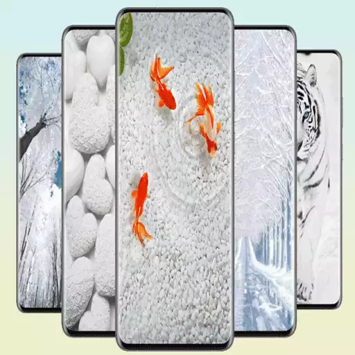 Play White Wallpaper APK