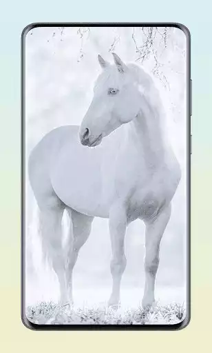 Play White Wallpaper as an online game White Wallpaper with UptoPlay