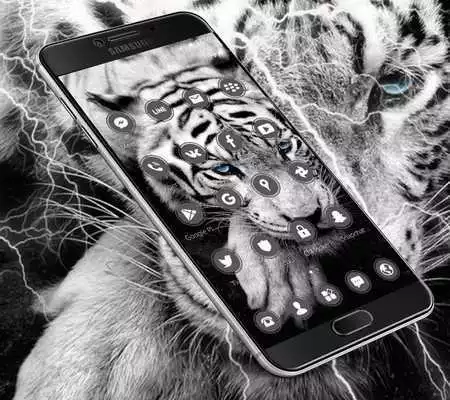 Play White Wild Tiger Theme