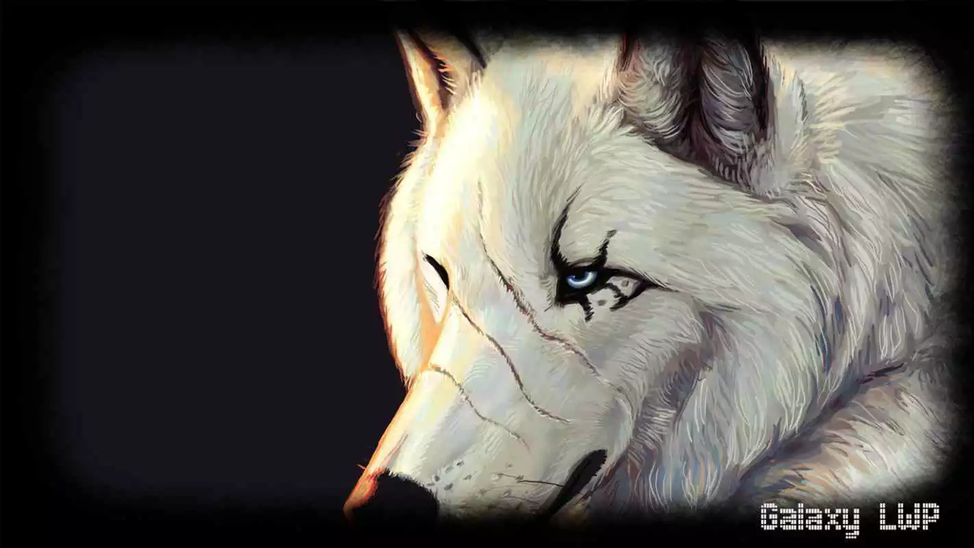 Play White Wolf Wallpaper