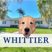 Free play online Whittier Real Estate APK