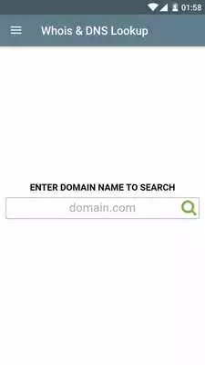 Play Whois  DNS Lookup