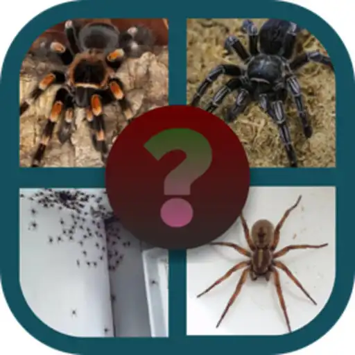 Play Who is this animal APK