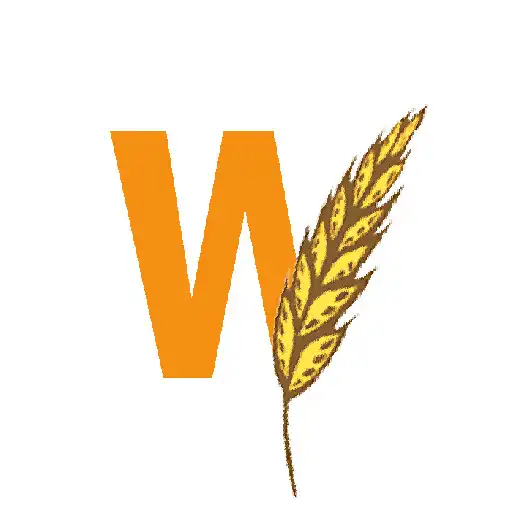 Play Wholesome Choice APK Play Wholesome Choice APK