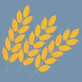 Free play online Wichita Church of Christ APK