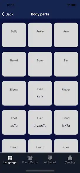 Play Wichita Language App as an online game Wichita Language App with UptoPlay