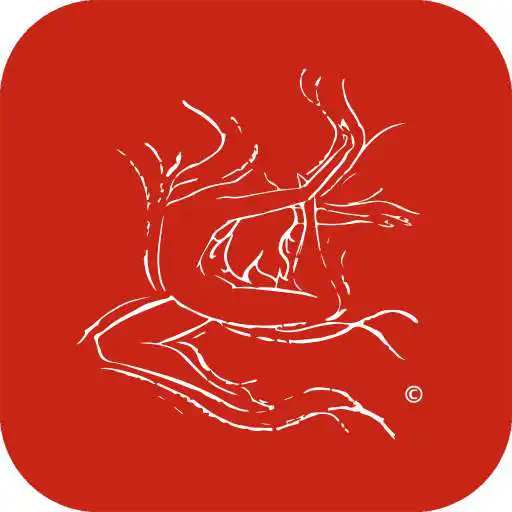 Play Wichita School of Perf Arts APK