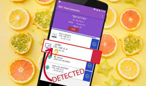 Play WiFi Thief Detection