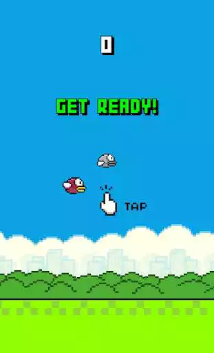 Play Wiggle Bird  and enjoy Wiggle Bird with UptoPlay