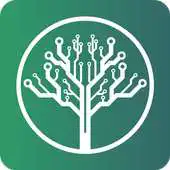 Free play online wiji APK