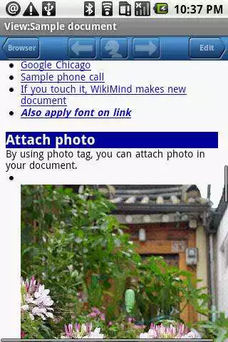 Play WikiMind note lite