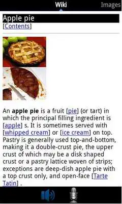 Play Wikipedia Voice Search