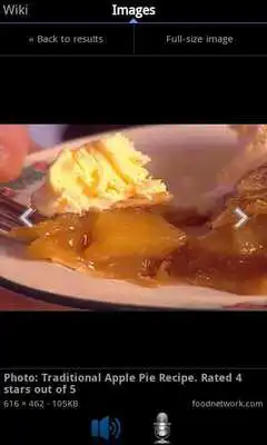 Play Wikipedia Voice Search