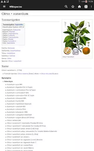 Play WikiSpecies  and enjoy WikiSpecies with UptoPlay