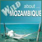 Free play online Wild About Mozambique APK