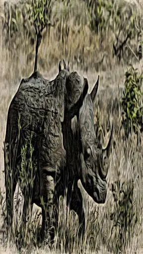 Play Wild African Animals Wallpaper HD  and enjoy Wild African Animals Wallpaper HD with UptoPlay