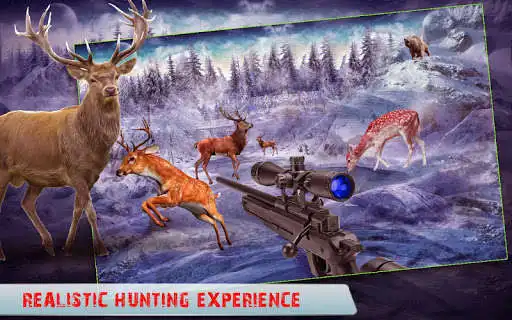 Play WILD ANIMAL HUNTER as an online game WILD ANIMAL HUNTER with UptoPlay