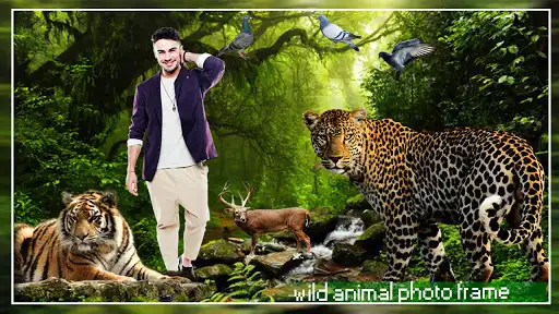 Play Wild Animal Photo Editor - Animal Photo Frames  and enjoy Wild Animal Photo Editor - Animal Photo Frames with UptoPlay