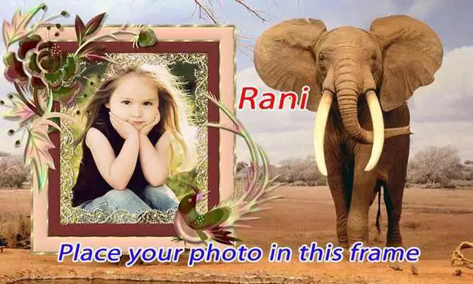 Play Wild animal photo frame effect