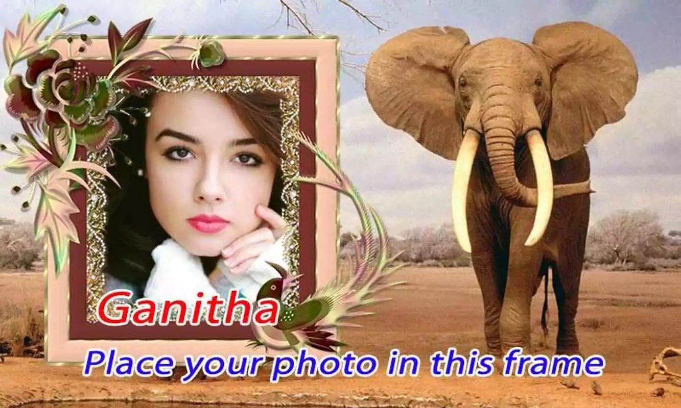 Play Wild animal photo frame effect