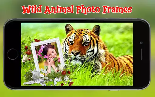 Play Wild Animal Photo Frames