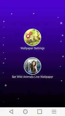 Play Wild Animal Photo Frames