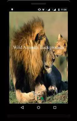 Play Wild Animals Backgrounds