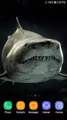 Play Wild Animals live wallpaper
