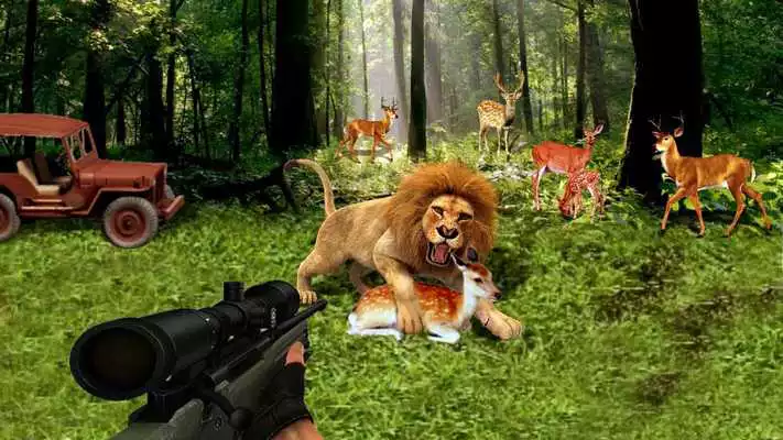 Play Wild Animal Sniper Hunting 2018