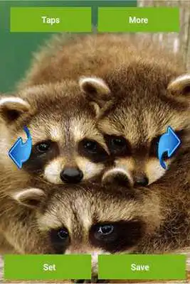 Play Wild animals wallpapers