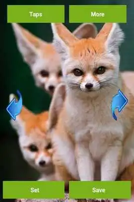 Play Wild animals wallpapers