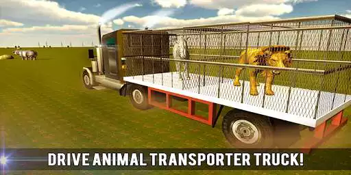 Play Wild Animal Transport Train 3D