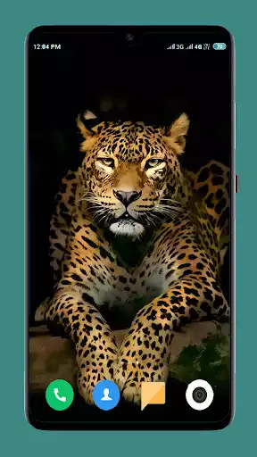 Play Wild Animal Wallpaper 4K as an online game Wild Animal Wallpaper 4K with UptoPlay