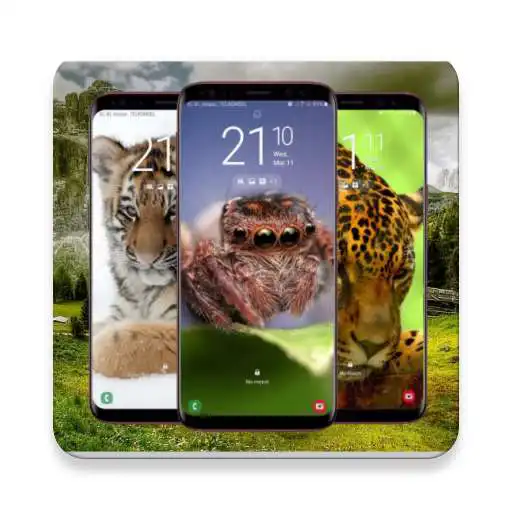 Play Wild Animal Wallpaper APK