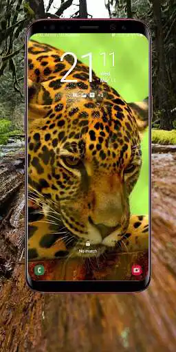 Play Wild Animal Wallpaper  and enjoy Wild Animal Wallpaper with UptoPlay