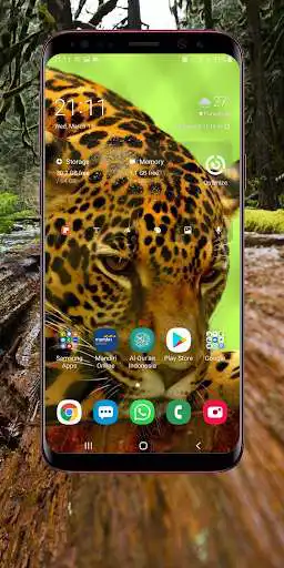Play Wild Animal Wallpaper as an online game Wild Animal Wallpaper with UptoPlay