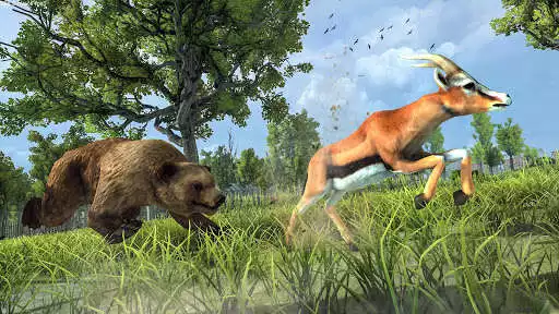 Play Wild Bear Attack Simulator 3D as an online game online Wild Bear Attack Simulator 3D with UptoPlay Play Wild Bear Attack Simulator 3D as an online game Wild Bear Attack Simulator 3D with UptoPlay