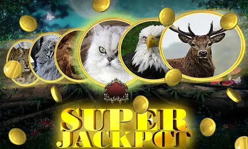 Play Wild Cat Slot: Real Jackpot & Super Hot Wins  and enjoy Wild Cat Slot: Real Jackpot & Super Hot Wins with UptoPlay