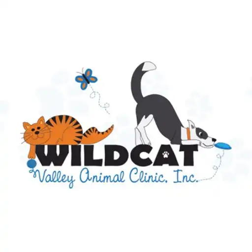 Play Wildcat Vet APK Play Wildcat Vet APK