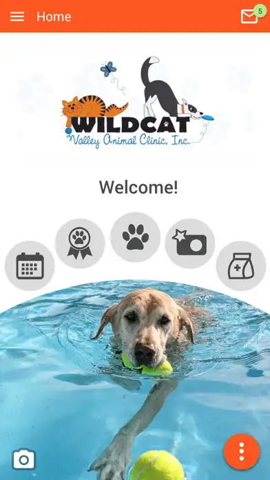 Play Wildcat Vet  and enjoy Wildcat Vet with UptoPlay