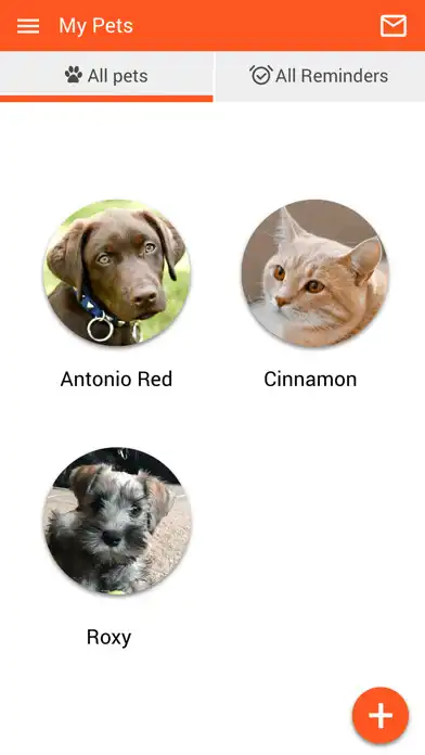 Play Wildcat Vet as an online game Wildcat Vet with UptoPlay