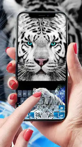 Play Wild Cheetah Keyboard Theme  and enjoy Wild Cheetah Keyboard Theme with UptoPlay
