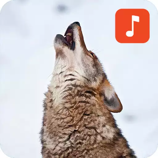 Free play online Wild Coyote Sounds APK