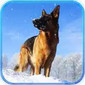 Free play online Wild Dog Attack: Farm Survival APK Free play online Wild Dog Attack: Farm Survival APK