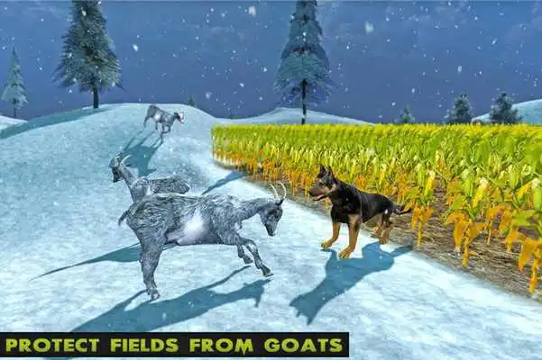 Play Wild Dog Attack: Farm Survival