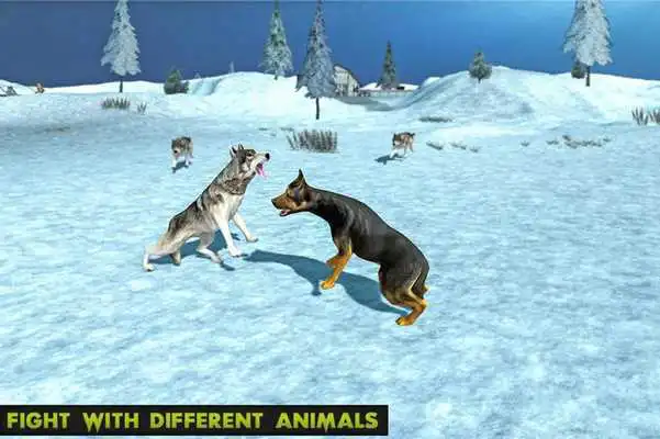 Play Wild Dog Attack: Farm Survival