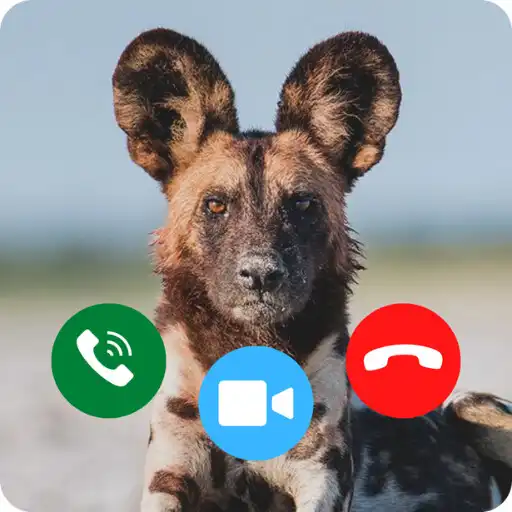 Play Wild Dog Games Calling APK